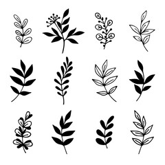 set of vector hand drawn black and white twigs. Curved in a semicircle, rounded and pointed leaves. Decorative elements for the design of cards, posters, logos.