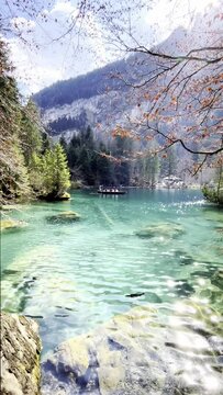 Clear water view in Blausee / Blue Lake - Bernese Oberland, Switzerland.