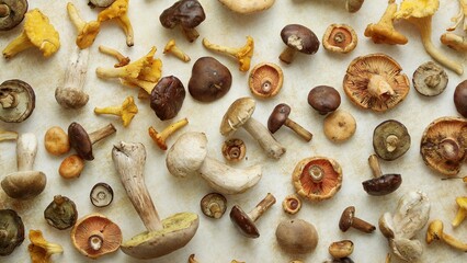 Various kinds of assorted raw mushrooms ready to dry