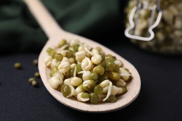 Wooden spoon with sprouted green mung beans on black background, closeup