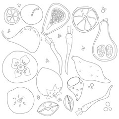 Set of vegetables and fruits vector illustration in scandinavian style. Linear graphic. Vegetables and fruits background. Healthy food isolated on white background.