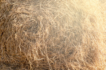 Bales of straw are illuminated by the sun. Dry hay on a summer day.Natural background
