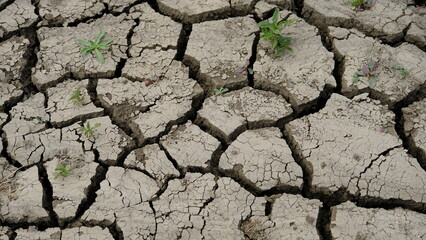soil cracked by drought.