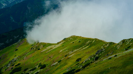Fototapeta na wymiar Mountains in clouds on a summer day. Aerial view of mountain top with green trees in fog. Beautiful landscape with high mountains. A mountain ridge separates the cloud from threatening storm clouds. 