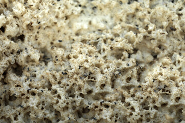 White deposits on the coast in Bretagne Brittany