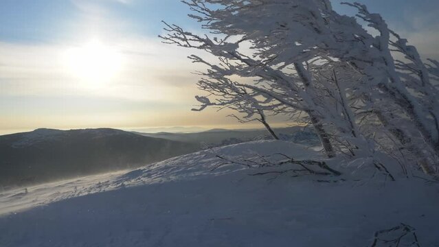 snow storm in mountains, strong wind, blizzard. blowing wind and powder snow, wintertime. beautiful nature background, strong wind, snow winter, wind speed forecast, mountain climbing risk