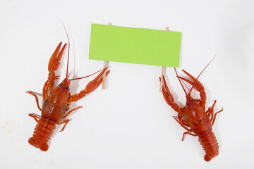 Boiled red crayfish lobsters with a flag and a banner in their claws, funny photo to use in your...
