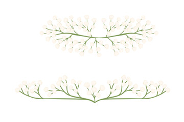 Gypsophila flowers pattern vector illustration isolated on white background