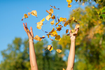 hands throw up yellow autumn leaves, against background of sky and trees