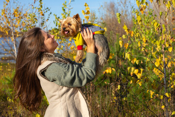 Obraz premium portrait of a woman with a Yorkshire terrier dog in her arms in the autumn forest