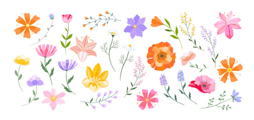 Fototapeta premium Vector floral illustration. Set of leaves, wildflowers, twigs, floral arrangements. Beautiful compositions of field grass and bright spring flowers.