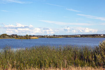 Lake. The tract Merechevshchina. Ivatsevichi district. Brest region. Belarus