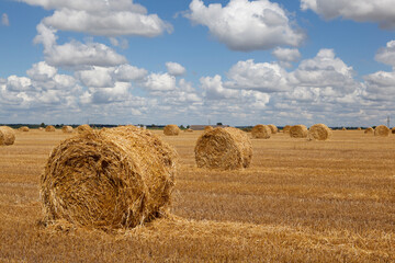 Fototapeta premium Picturesque field landscape with hay rolls