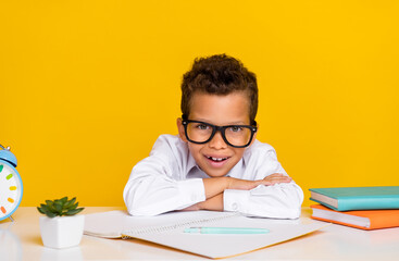 Portrait of positive clever boy toothy smile prepare test exam isolated on yellow color background