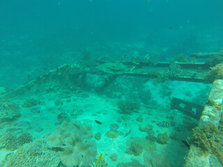 Gili Trawangan is the hub of the Gili Islands dive industry. There are about a dozen dive shops and schools, all eager to show you the stunning underwater
