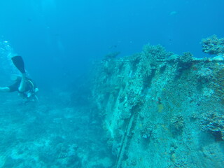 Gili Trawangan is the hub of the Gili Islands dive industry. There are about a dozen dive shops and schools, all eager to show you the stunning underwater