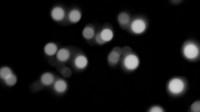 bokeh effect 3d animation abstract background looping animation 4k resolution grey circle in black background