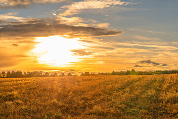 Summer sunset over the field