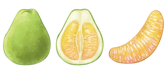 pomelo
