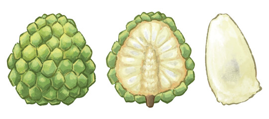 SugarApple