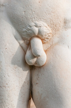 genitales masculinos en educación sexual escolar de escultura blanca de escayola