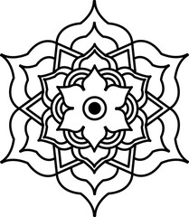 black and white spider