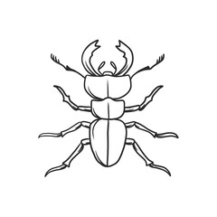 horned beetle Insects and bug illustration