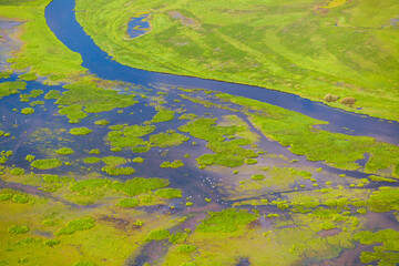 Fototapeta na wymiar Rzeka Biebrza rozlewiska, Biebrzański Park Narodowy