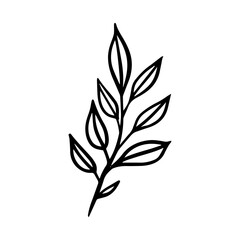  floral illustration in vintage style design