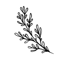 lavender hand drawn leaf and flower illustration, flower lineart isolated graphic elements for your design, floral line art for classic design
