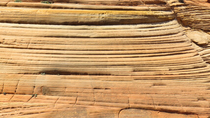 Roca erosionada por la arena del desierto. Rock eroded by desert sand.