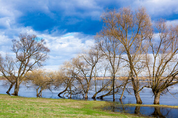 Biebrza rzeka, Biebrzański Park Narodowy, rozlewiska Biebrzy, wiosna, 