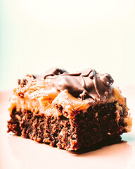 chocolate cake with chocolate