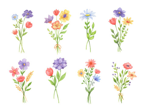 Watercolor illustrations of bouquet of flowers. Set of hand drawn wildflowers. Spring cute flowers with leaves
