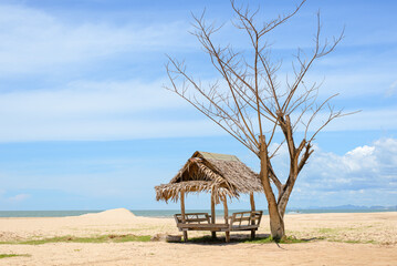 Hut and dead trees on the beach and sky background