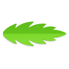 Top view realistic green leaf artificial ornamental decor for gift box Christmas tree design vector