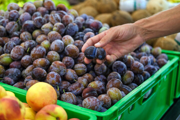 A man chooses a plum on a store counter. Plums ready for sale. Plums market. Plums after harvest. Common plum.