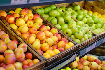 Fresh peaches on the market. A lot of fruits on the supermarket counter: nectarine, apples, plums. Vitamins.
