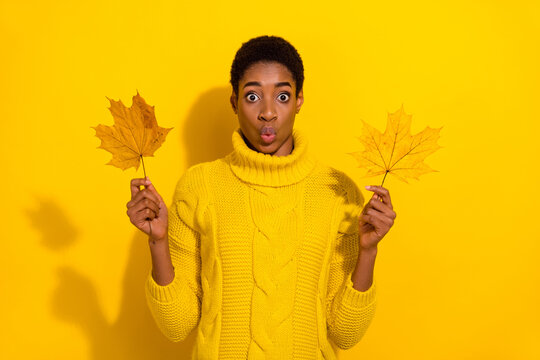 Photo of young impressed lady guy hold leaf september pouted lips reaction wow isolated over yellow color background