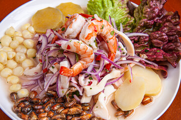 CEVICHE DE MARISCO - PERUVIAN FOOD 110302_DY013  : 528920101