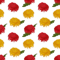 Red and yellow chrysanthemums, vector illustration. Seamless pattern with flowers.