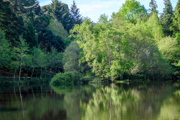Castiñeiras Lake, an artificial pond located on Monte Cotorredondo. Around the lagoon is one of the oldest forest parks in Galicia (Spain)