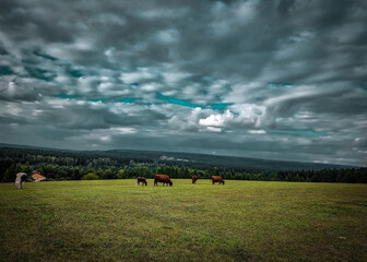 clouds over the field © Katarzyna
