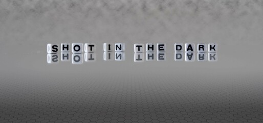 shot in the dark word or concept represented by black and white letter cubes on a grey horizon...