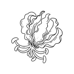  floral illustration in vintage style design