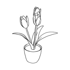 house plant illustration