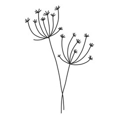 flower lineart for wedding and vintage decoration, floral illustration In hand drawn for design element