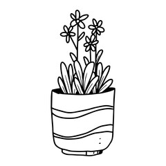 house plant and flower in pots hand drawn illustration