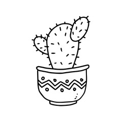 cactus house plant and flower in pots hand drawn illustration