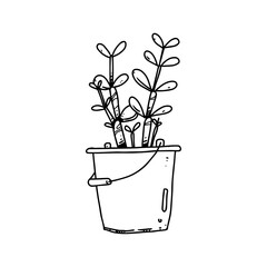 house plant and flower in pots hand drawn illustration